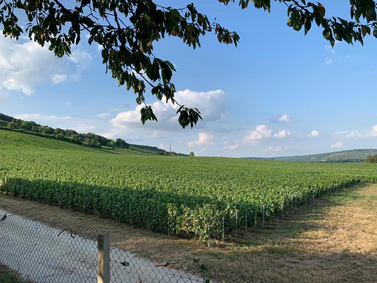 Chambre En Rez De Jardin Gland Zewnętrze zdjęcie